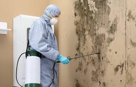 Best HVAC Mold Inspection and Cleaning  in Laurens, IA